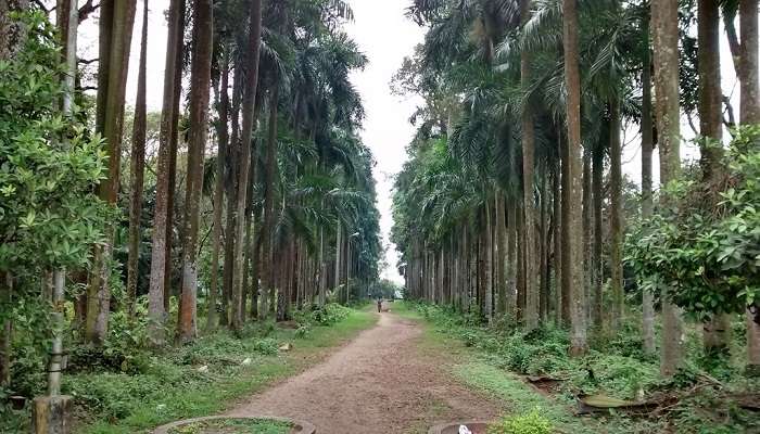 बॉटनिकल गार्डन