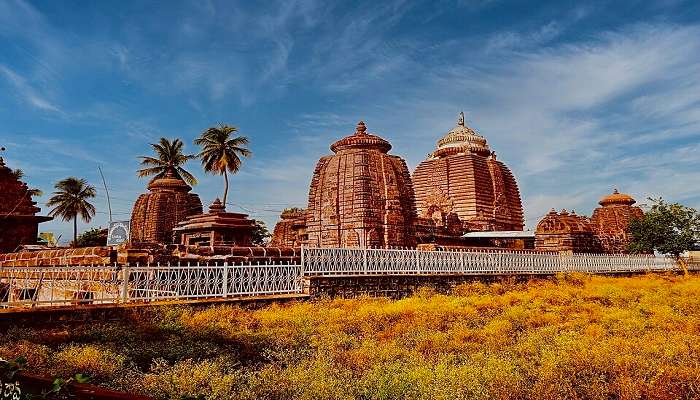 यह स्थान पौराणिक कथाओं और इतिहास से भरा पड़ा है, जिसका महाभारत से गहरा संबंध है। ऐसा माना जाता है कि पांडव महान युद्ध के बाद अपने हथियारों और आत्माओं को शुद्ध करने के लिए लोहार्गल आए थे।