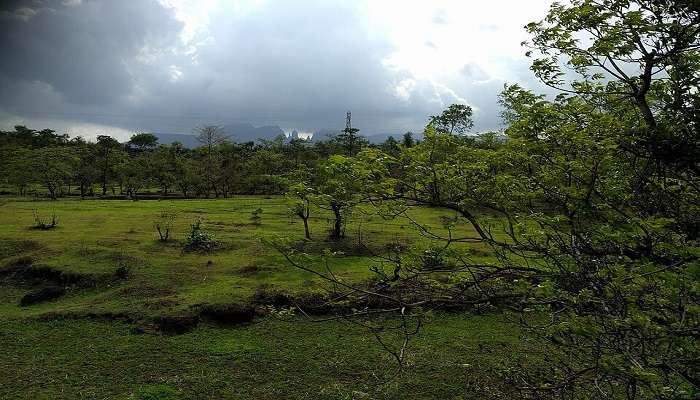 इगतपुर महाराष्ट्र के नासिक जिले में स्थित एक खूबसूरत हिल स्टेशन हैं। यह स्थान हरी- भरी पहाड़ियों, झरनों और ट्रेकिंग के लिए प्रसिद्ध है।