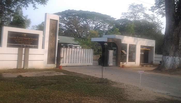 टोकलाई चाय अनुसंधान केंद्र: सबसे पुराना चाय अनुसंधान केंद्र