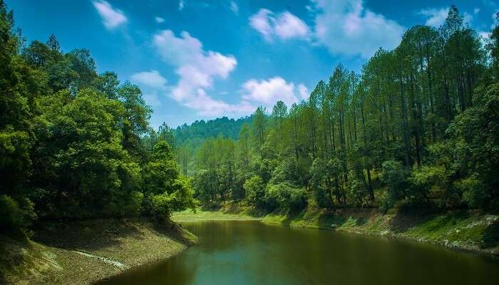 भालू बांध - एक प्राकृतिक निर्वाण
