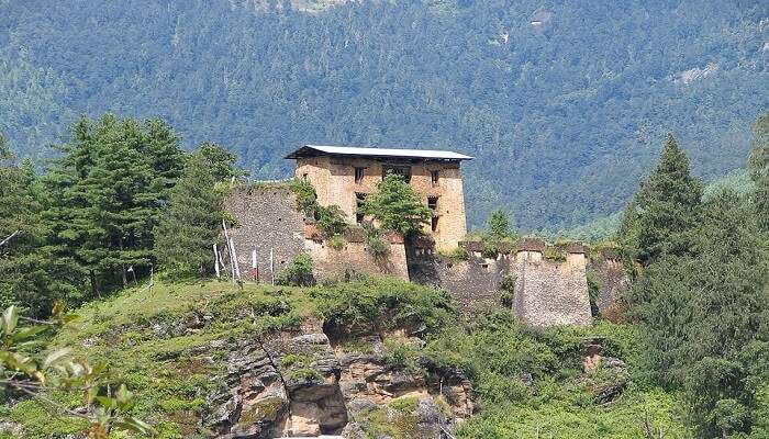 द्रुकग्याल द्ज़ोंग