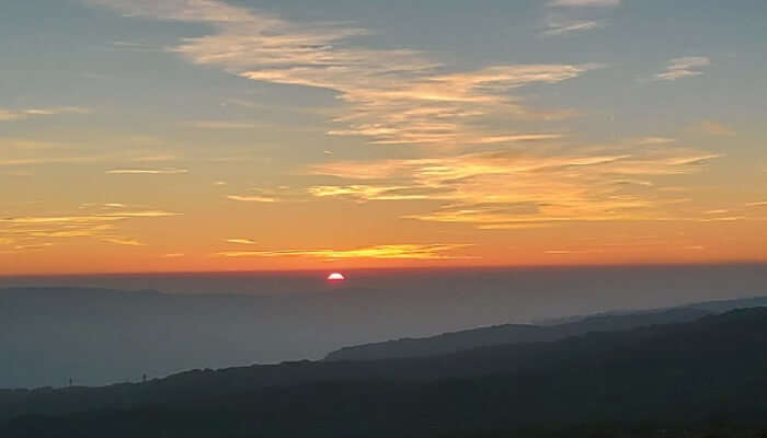 विल्सन पॉइंट