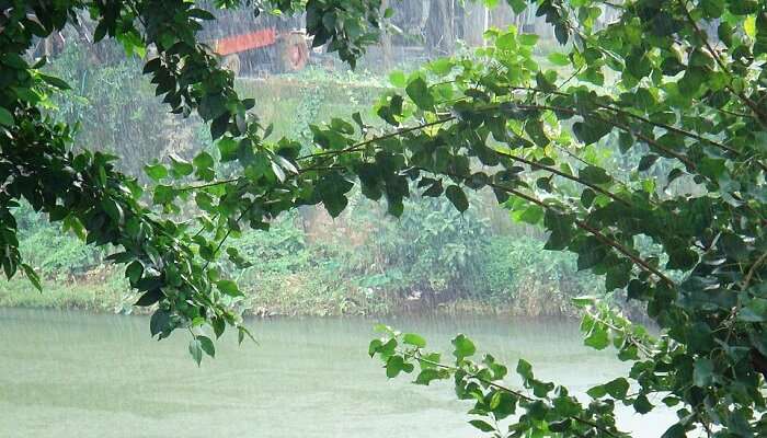केरल में मानसून कब आता है