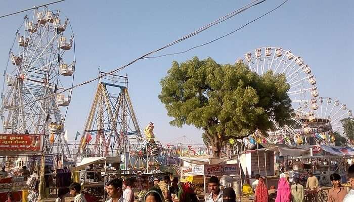 पुष्कर ऊंट मेले की तिथियाँ, अवधि और स्थल