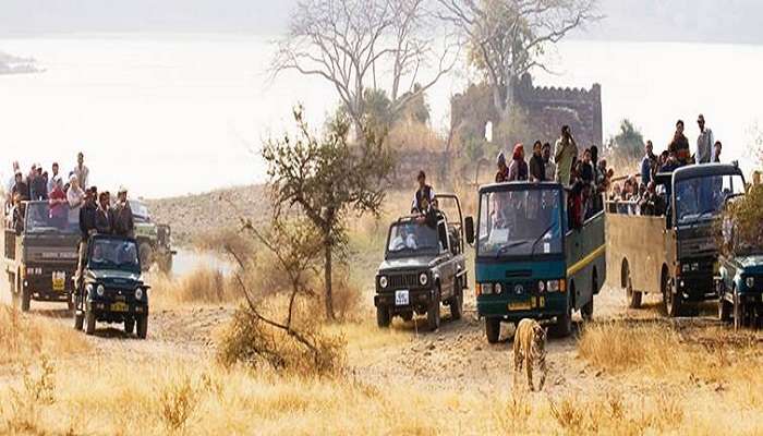 वाइल्ड ड्रैगन एडवेंचर पार्क