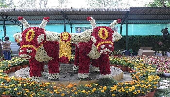 येरकौड समर फेस्टिवल