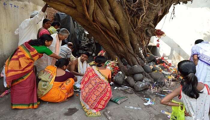 Vat Savitri Puja
