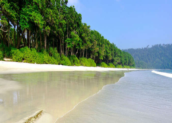Andaman trip cost