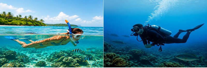 Snorkeling vs Scuba Diving