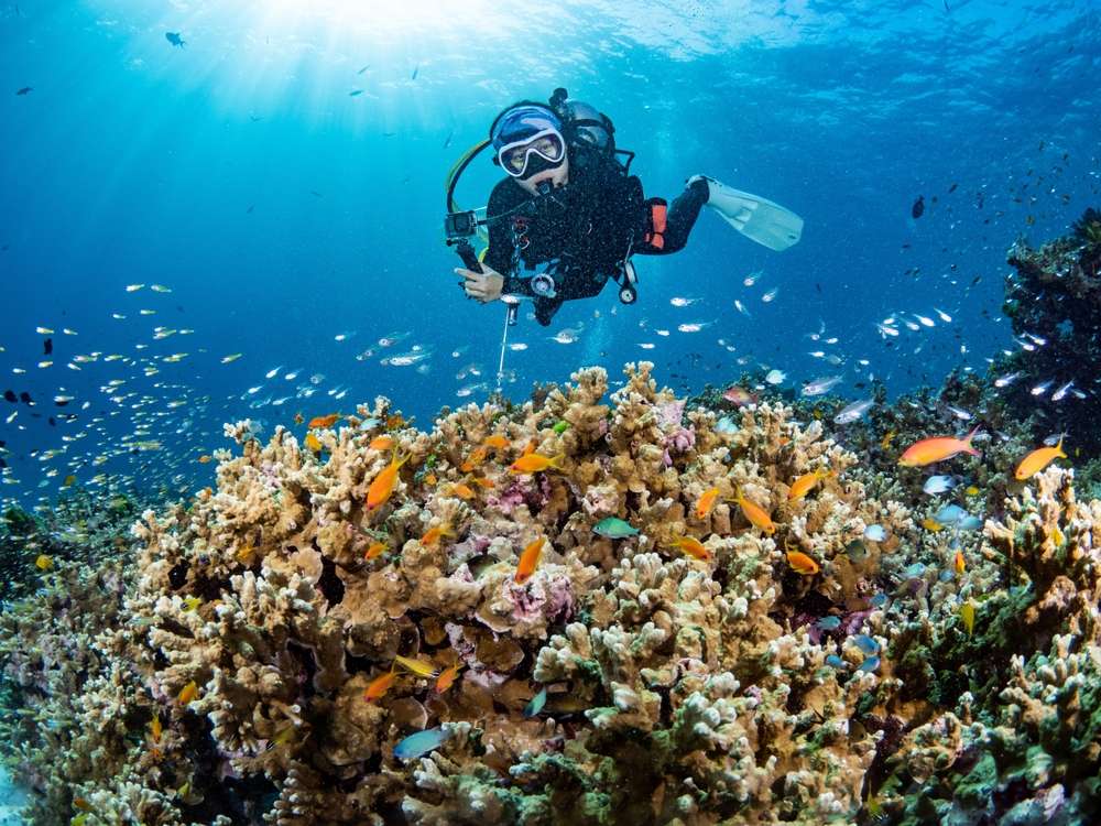 Cost of Scuba Diving in Andaman 