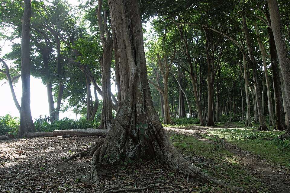 Andaman treks at a glance
