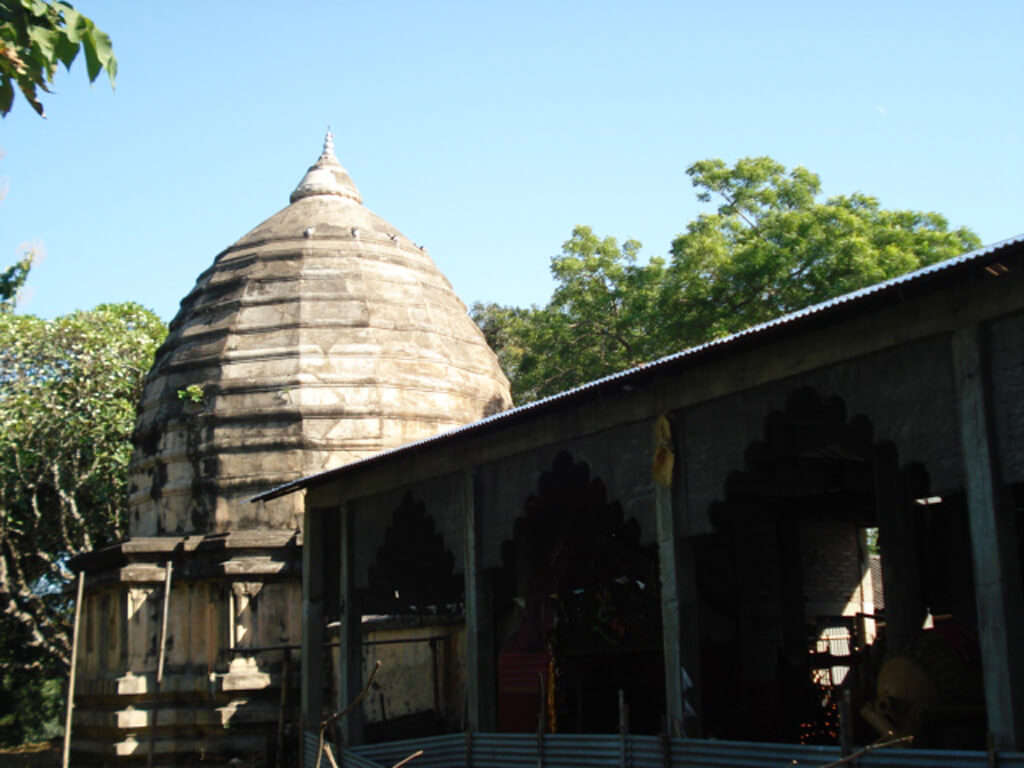 दर्शन का समय और प्रवेश जानकारी