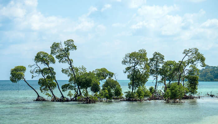 LaxmiNagar beach