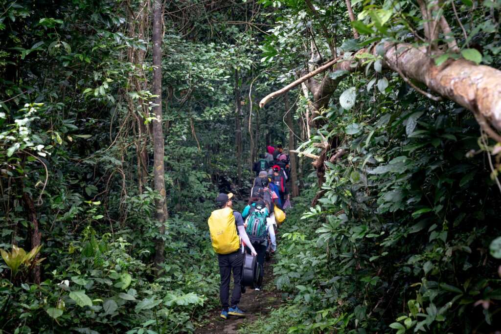 Night Nature Trek in andaman