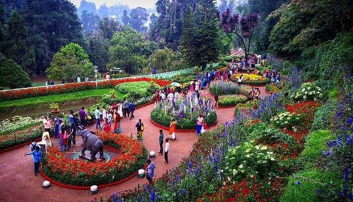 Ooty In July