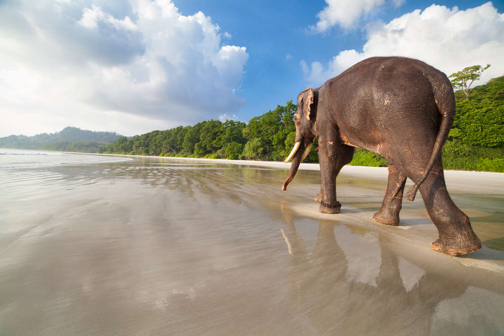 Permits, Entry & How to Visit Andaman's National Parks