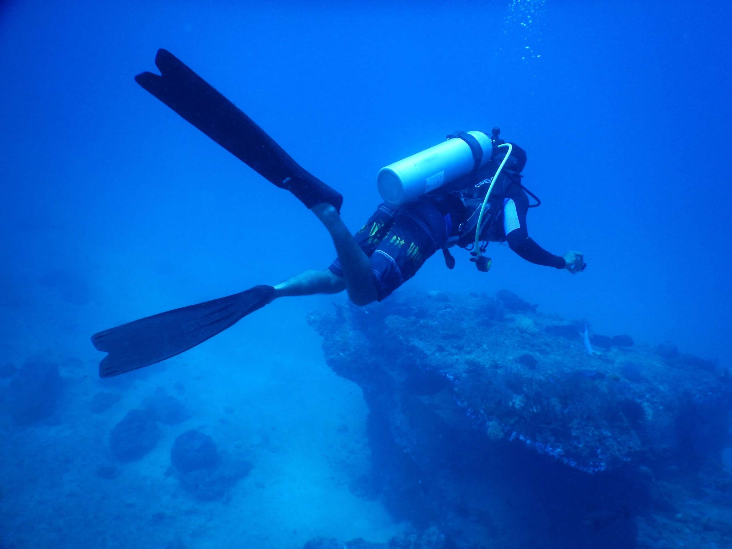 bus stop scuba diving