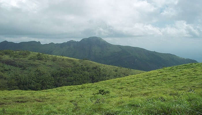 kerala weather in july