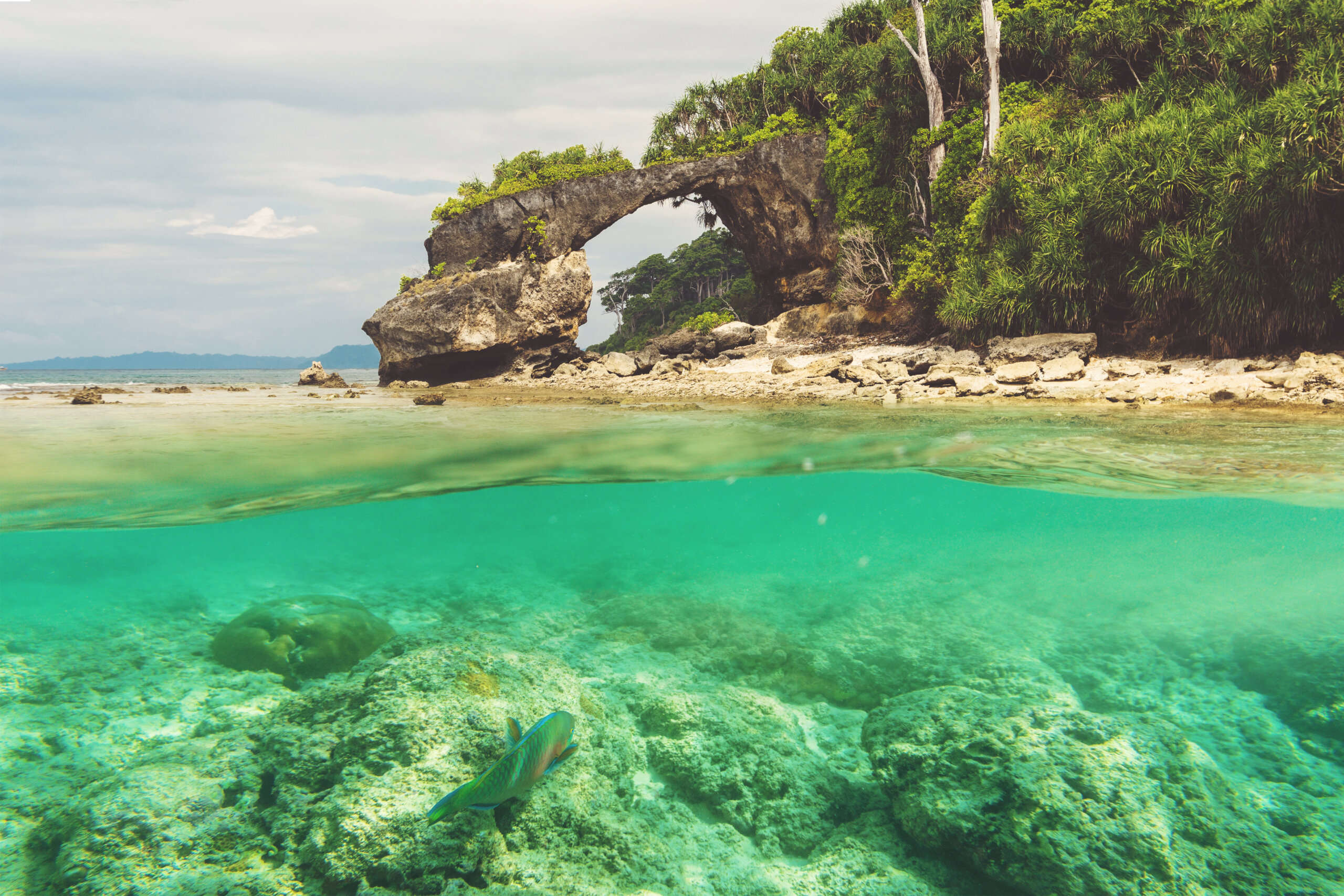 andaman June Temperature, Rainfall & Sea Conditions