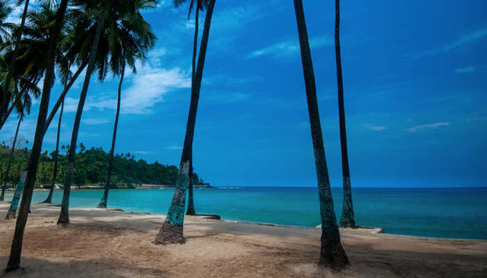 Seafood at Port Blair's Restaurants & Shacks