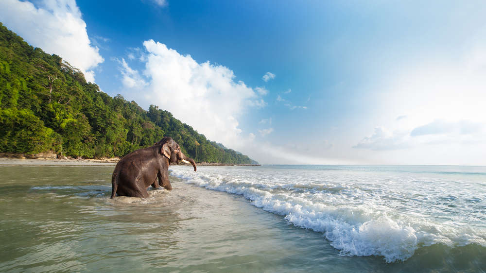 Things to Do in March: Water Sports, Diving & Holi