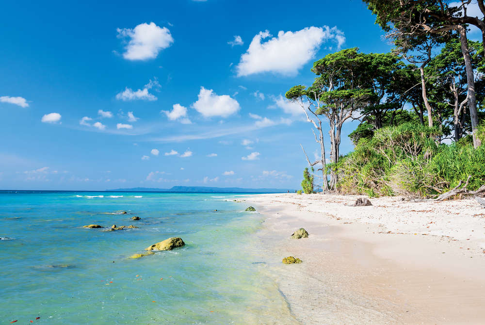 Andaman Weather in January