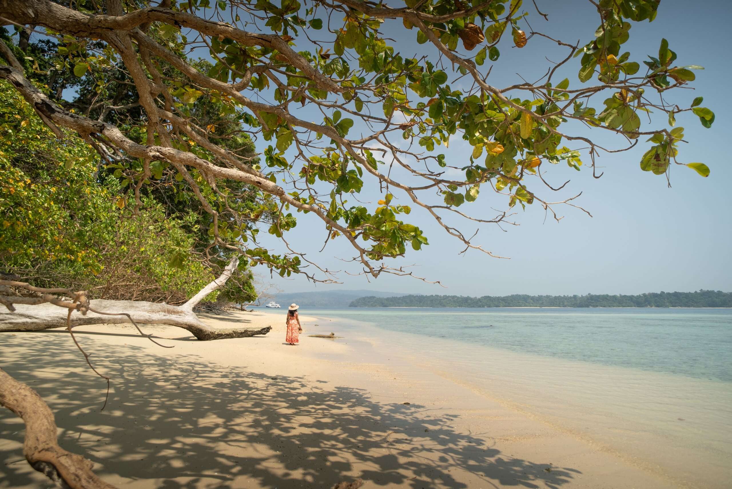 Andaman Winter Weather What It Is Really Like (and What to Pack)