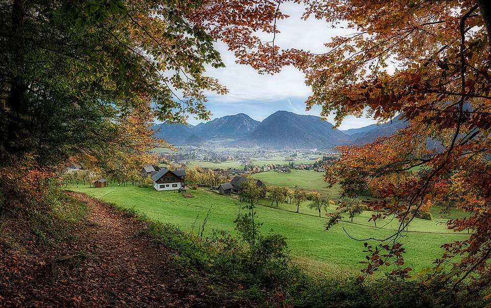 Budget For Austria