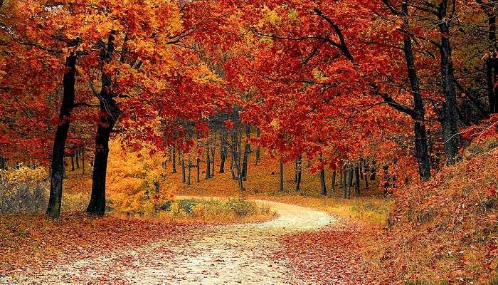Beautiful Autumn Colours