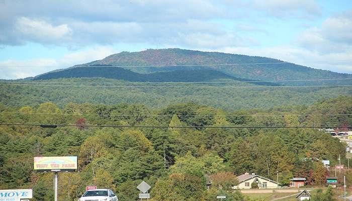 October is Good Time to Visit Georgia