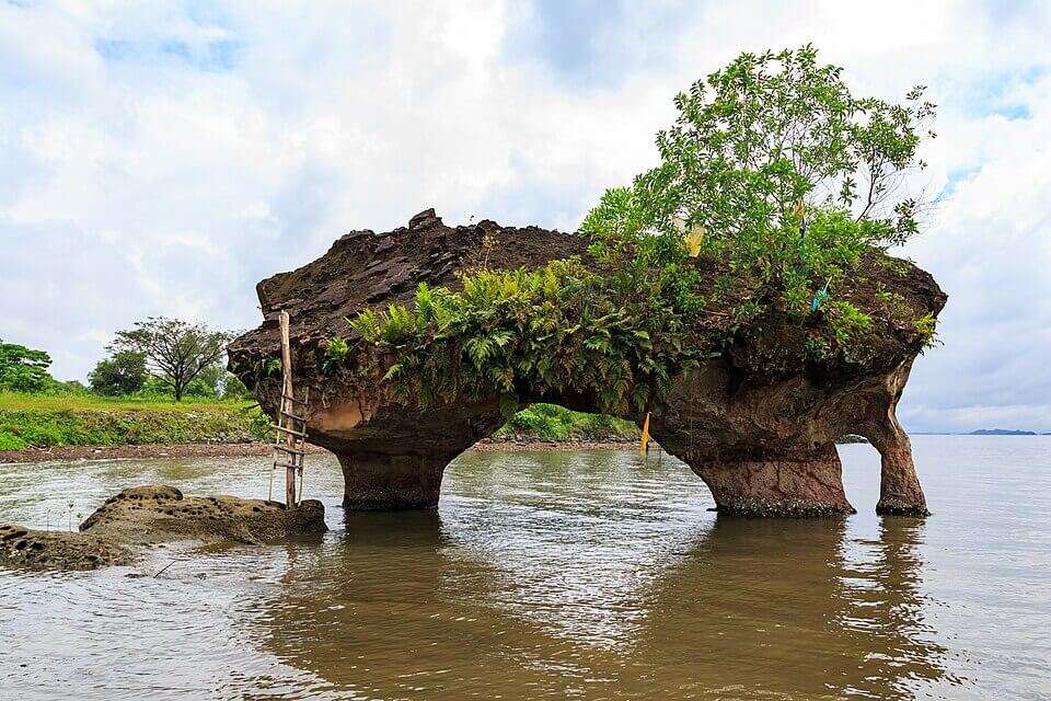 Low tide