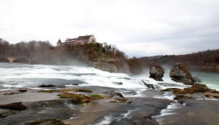 Rhine Falls – Europe's Largest Waterfall