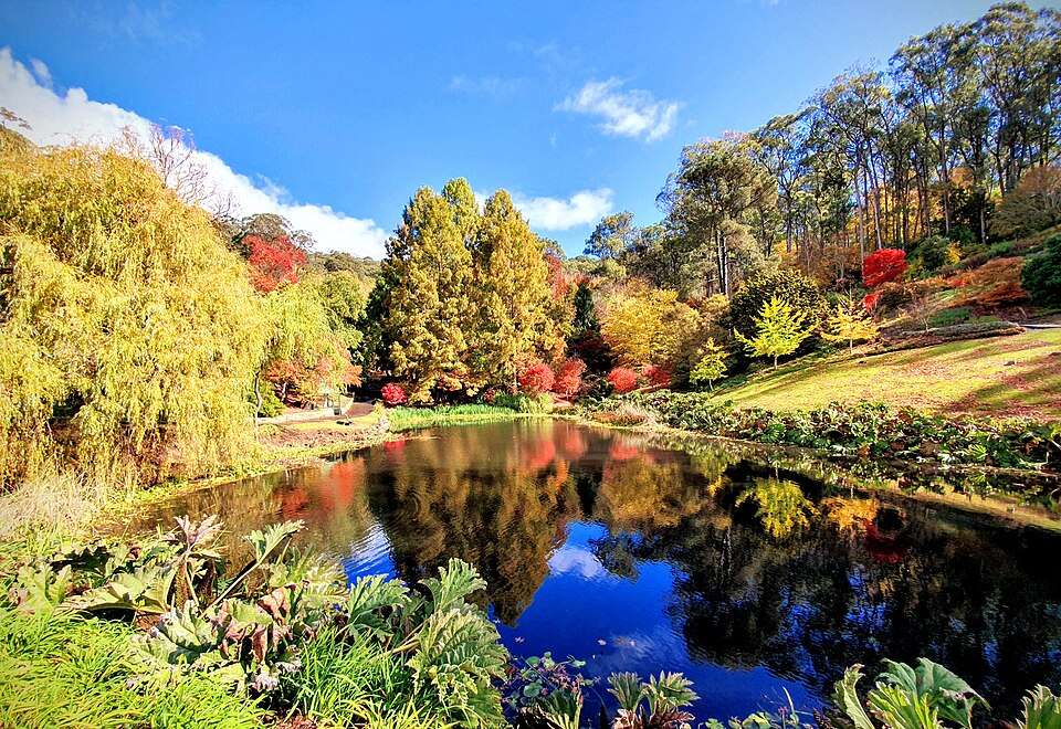 Beautiful Autumn Colours