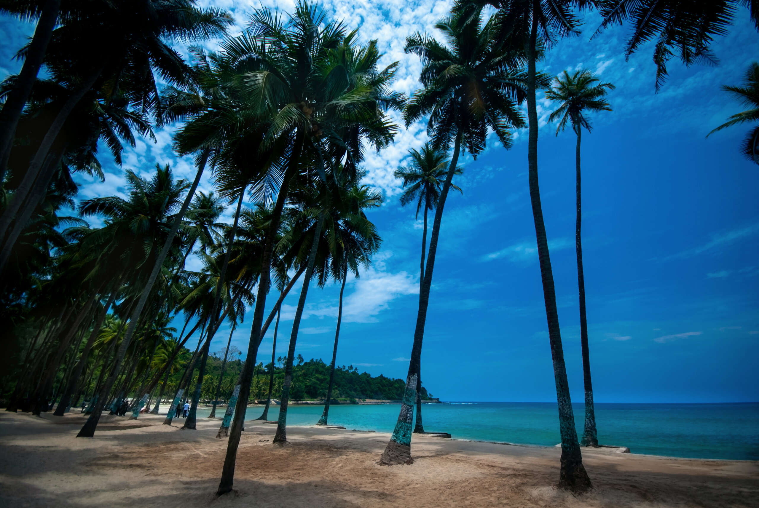 Why andaman June feels the way it does