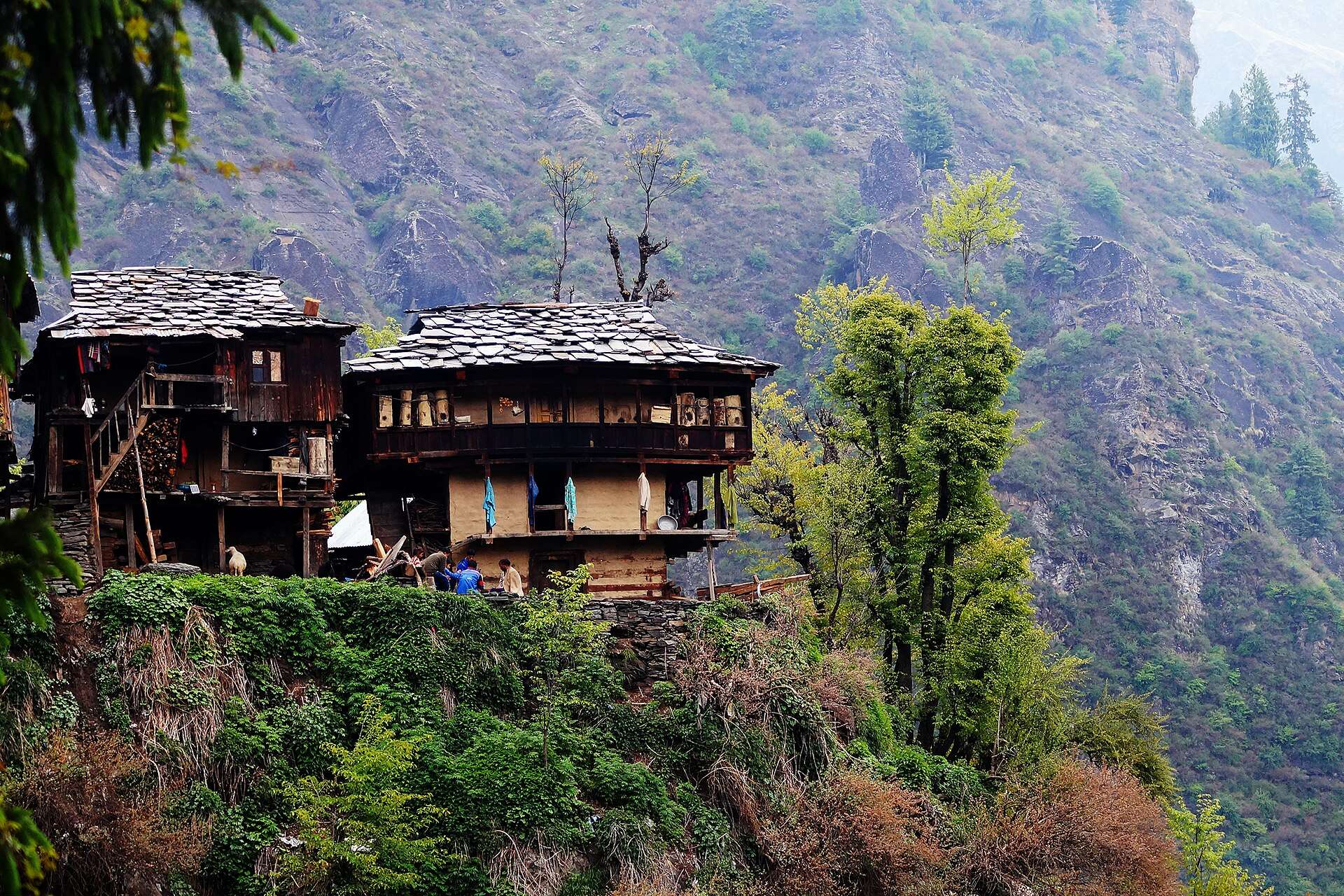 Best time to visit Malana