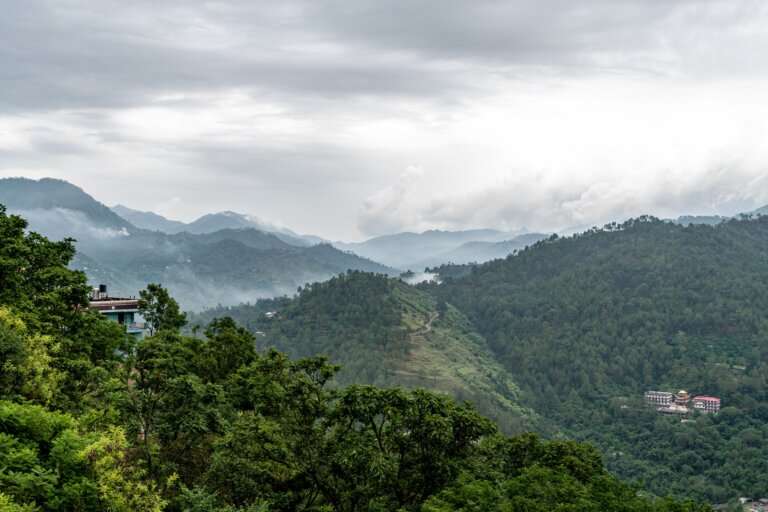 Kasauli.