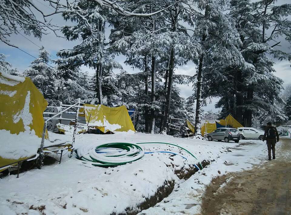 Snowfall in Shimla in December: When and Where