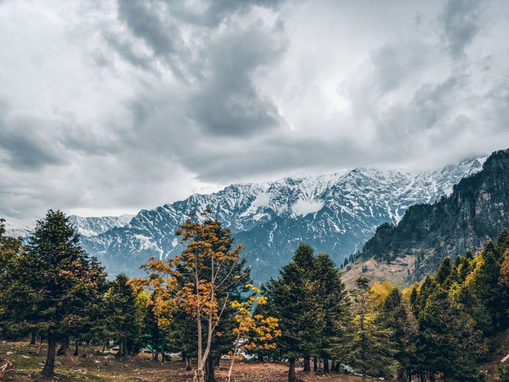 The Kullu, Manali And Kasol Circuit (Manali, Kullu, Kasol, Tirthan Valley)