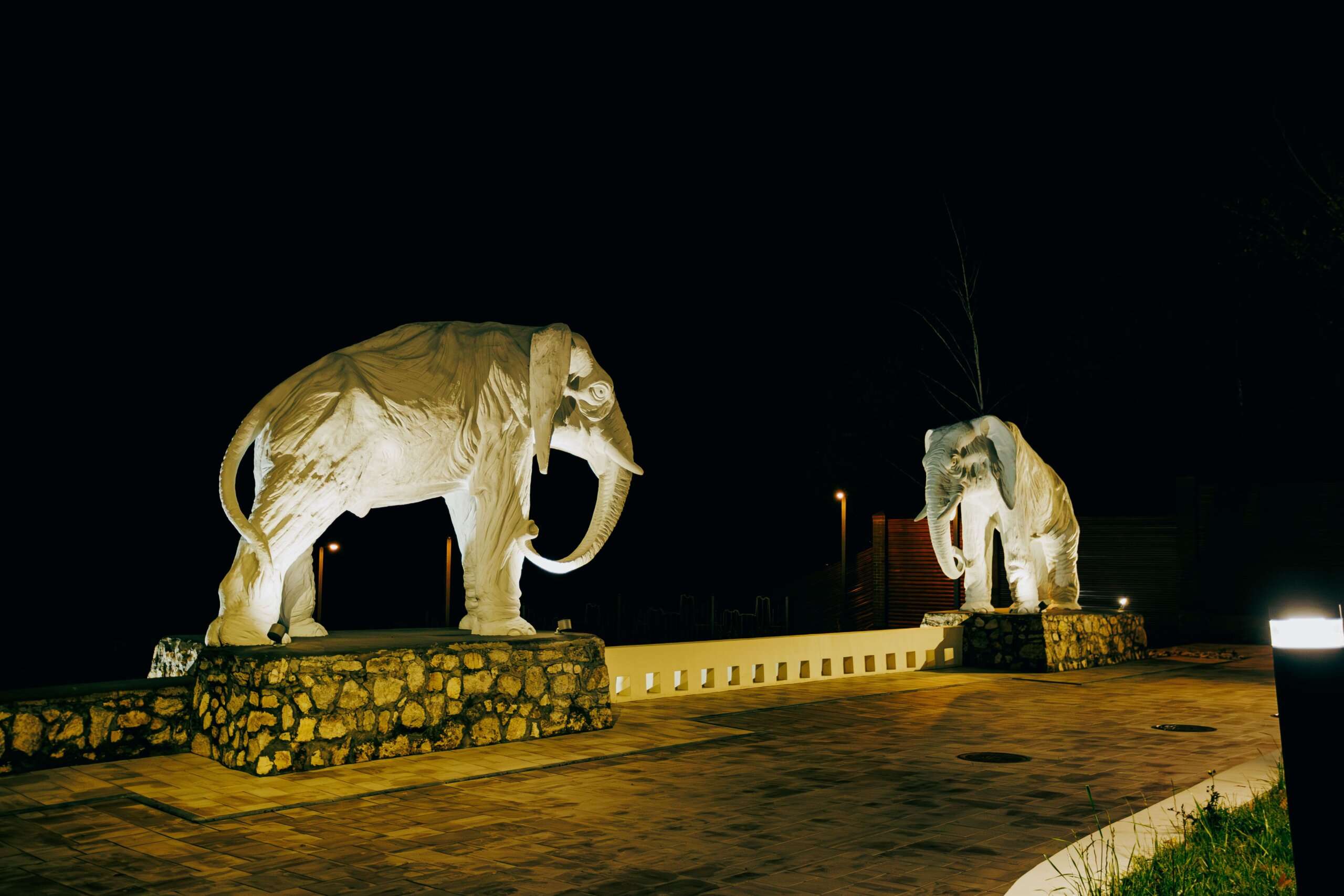 The White Elephant in Thailand’s Symbols