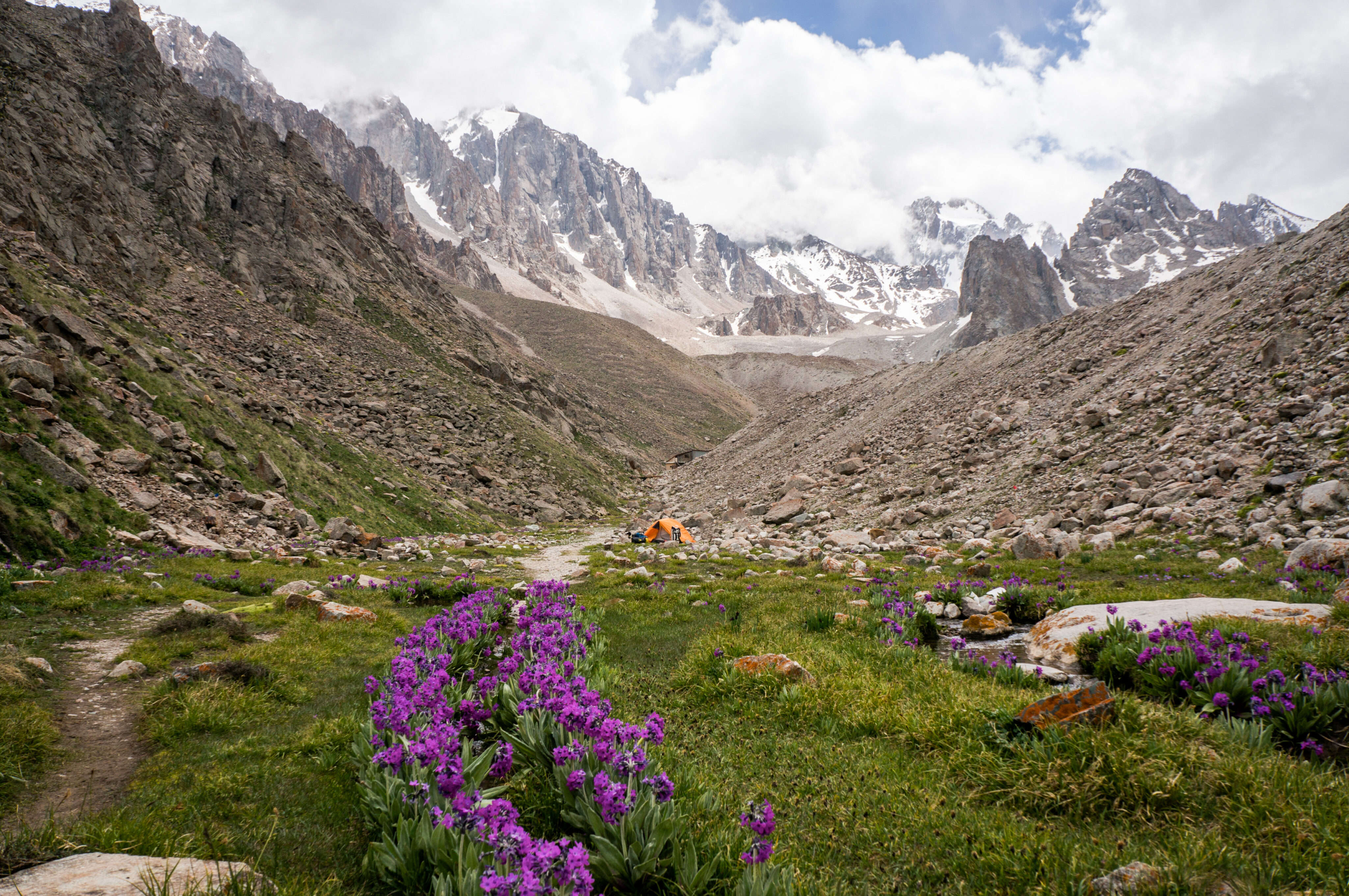 view of meadow with stones and flowers against footpath on foot of rocks, Ala Archa National Park,