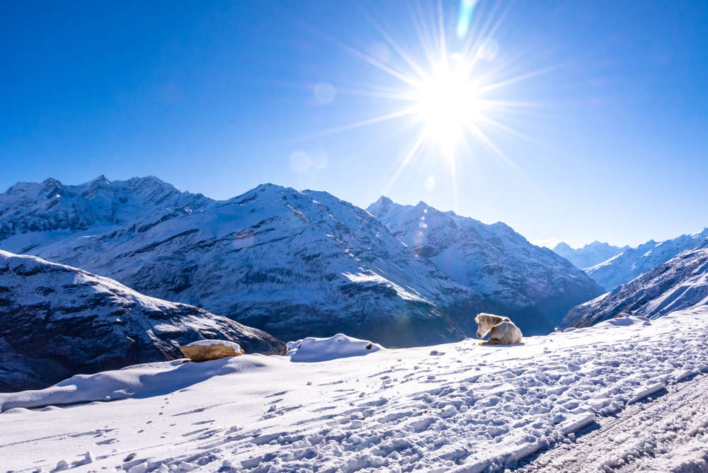 How to plan a Solang Valley day trip