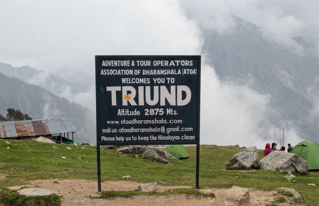 Triund Trek Height, Difficulty and Who It Is For