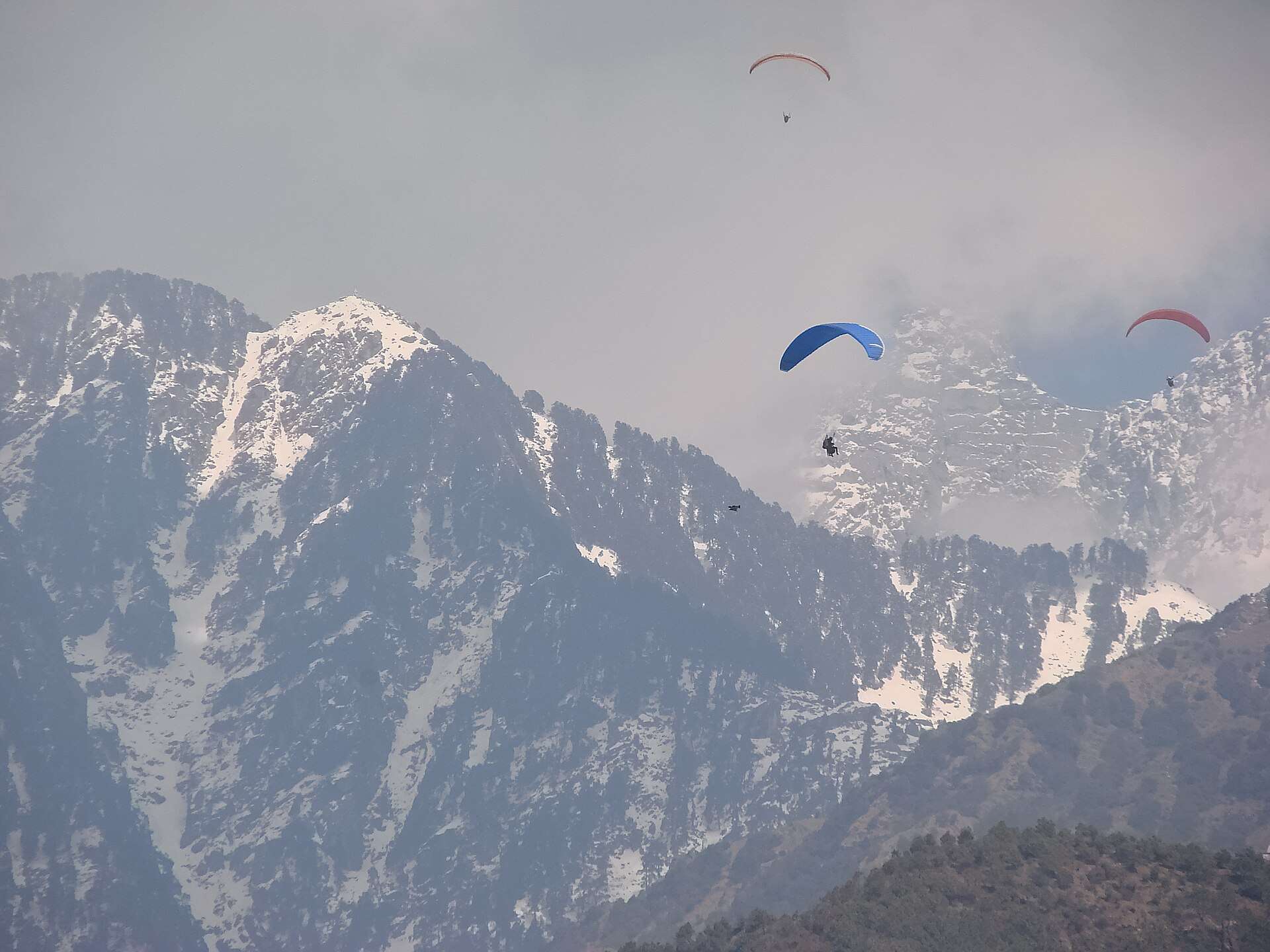 adventure sports in dharamshala